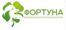 Рекламная компания "Фортуна"